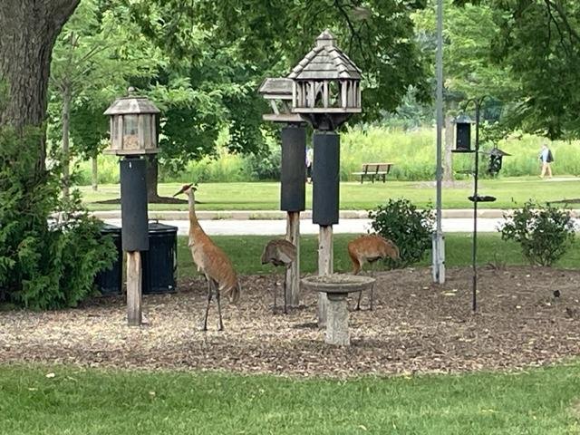 Elm Grove Village Park