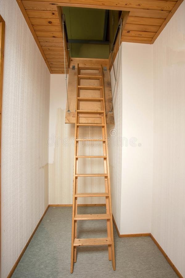 Ladder to Attic