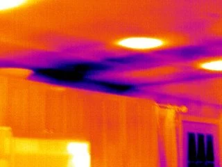 Water Leak with Thermal Imaging